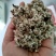 厂家直供优质棉籽壳，货源充足，保质保量。