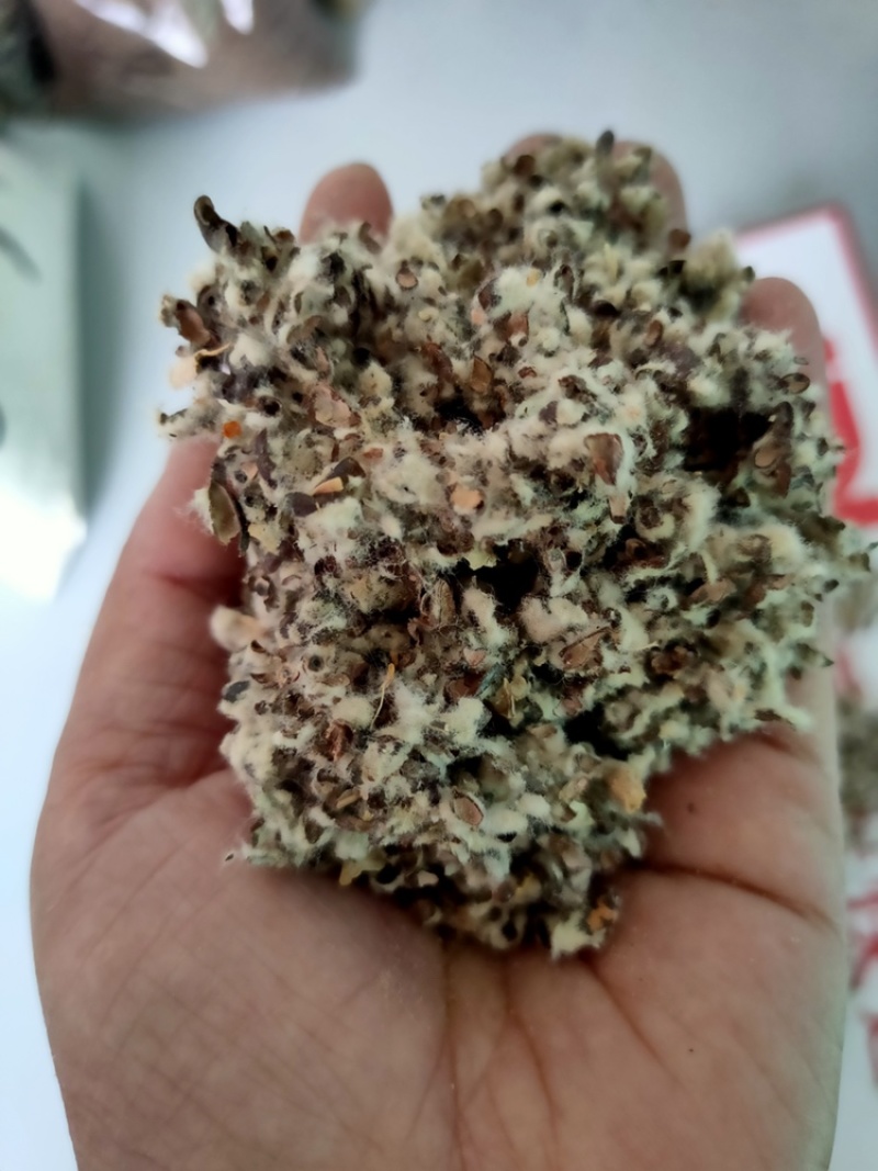 厂家直供优质棉籽壳，货源充足，保质保量。
