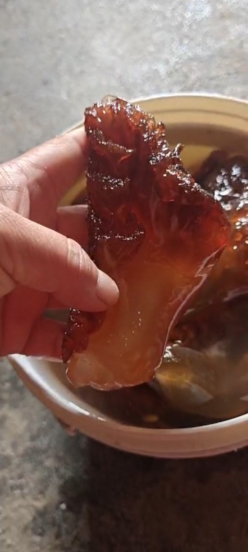 海蜇头！红头单角规格全可视频看货一手货源大量现货供应