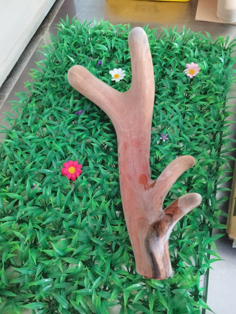 【鲜鹿茸】鹿茸梅花鹿茸有需要的老板联系我吧。