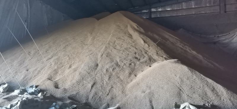 圆粒米长粒米碎米油糠稻壳价格美丽