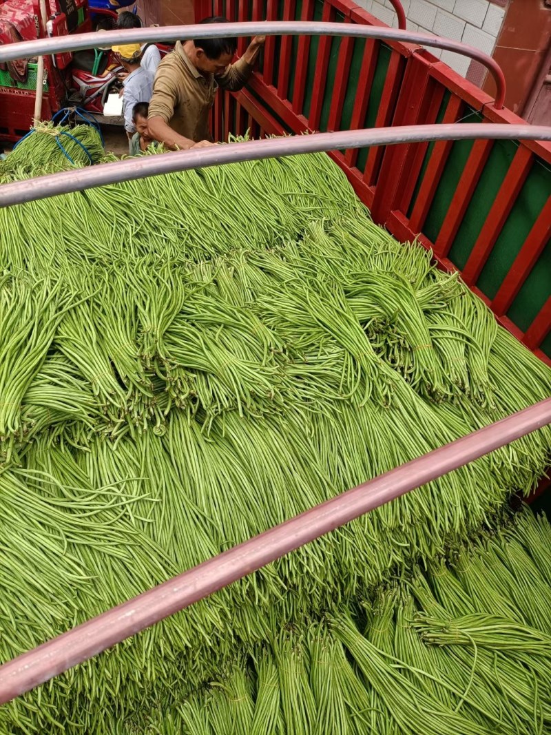 《推荐》云南建水长豆角，全国直发，青条豆角，诚信经营