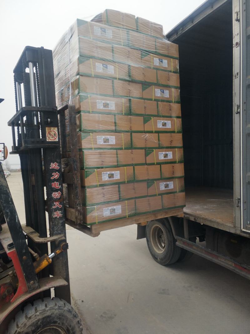 【有好货】进口叶面肥糖醇钙防裂果中量元素水溶肥钙肥冲施肥