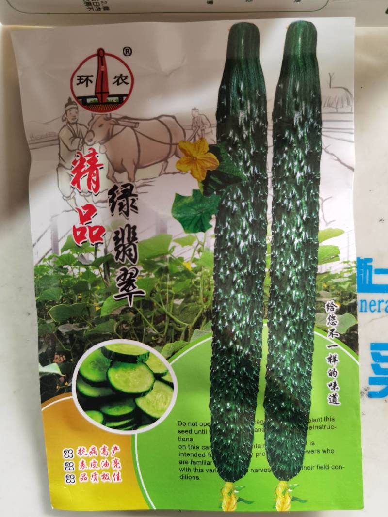 黄瓜种子环农408耐热抗病能力突出蔬菜基地春夏秋三栽培