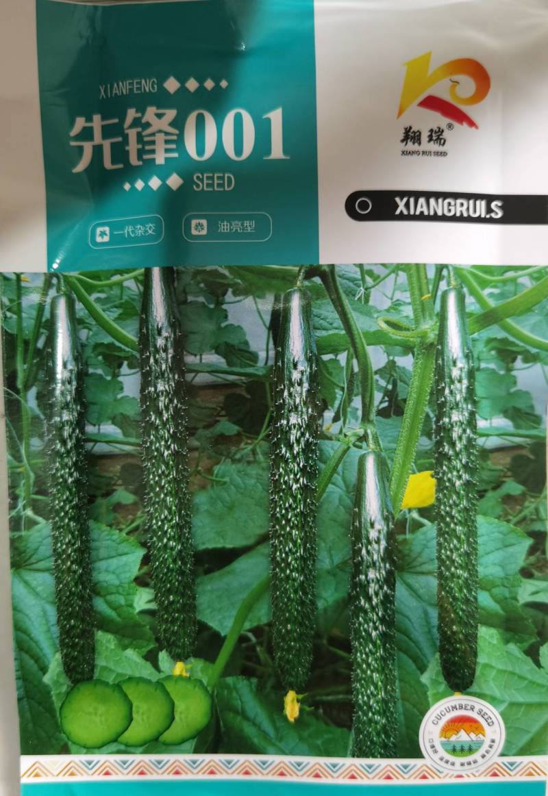 黄瓜种子环农408耐热抗病能力突出蔬菜基地春夏秋三栽培