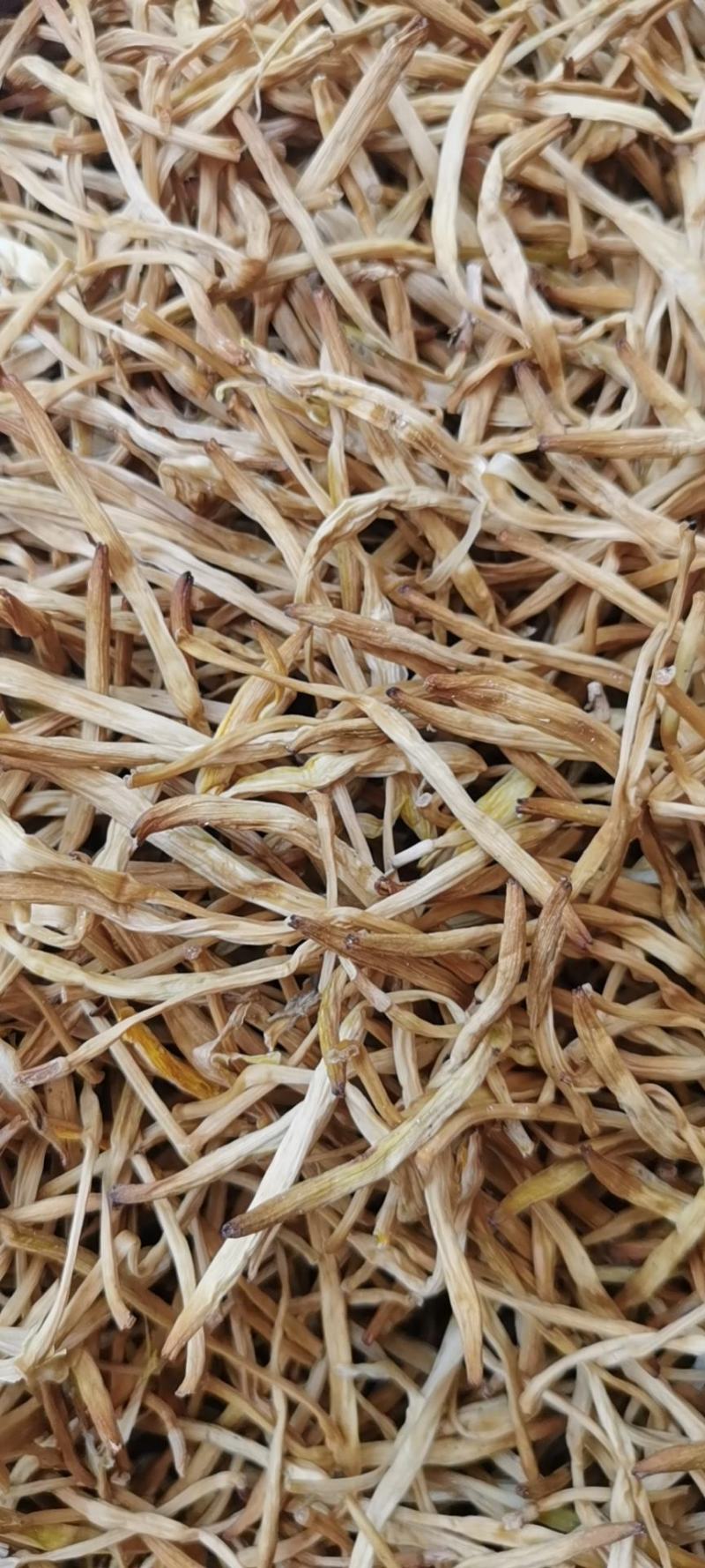 陕西大荔农家无硫原品菜，产地直发，货源充足，