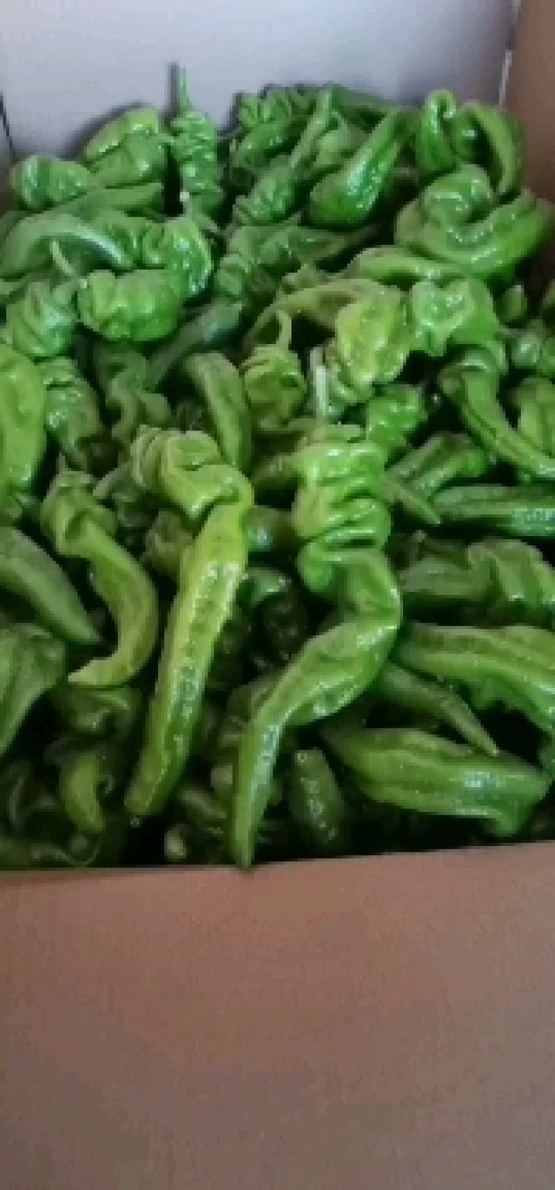 精品螺丝椒