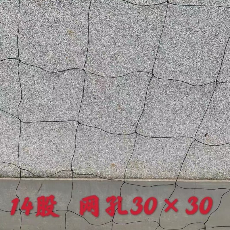（包邮）百香果搭架专用网黄瓜果爬藤果蔬爬藤网