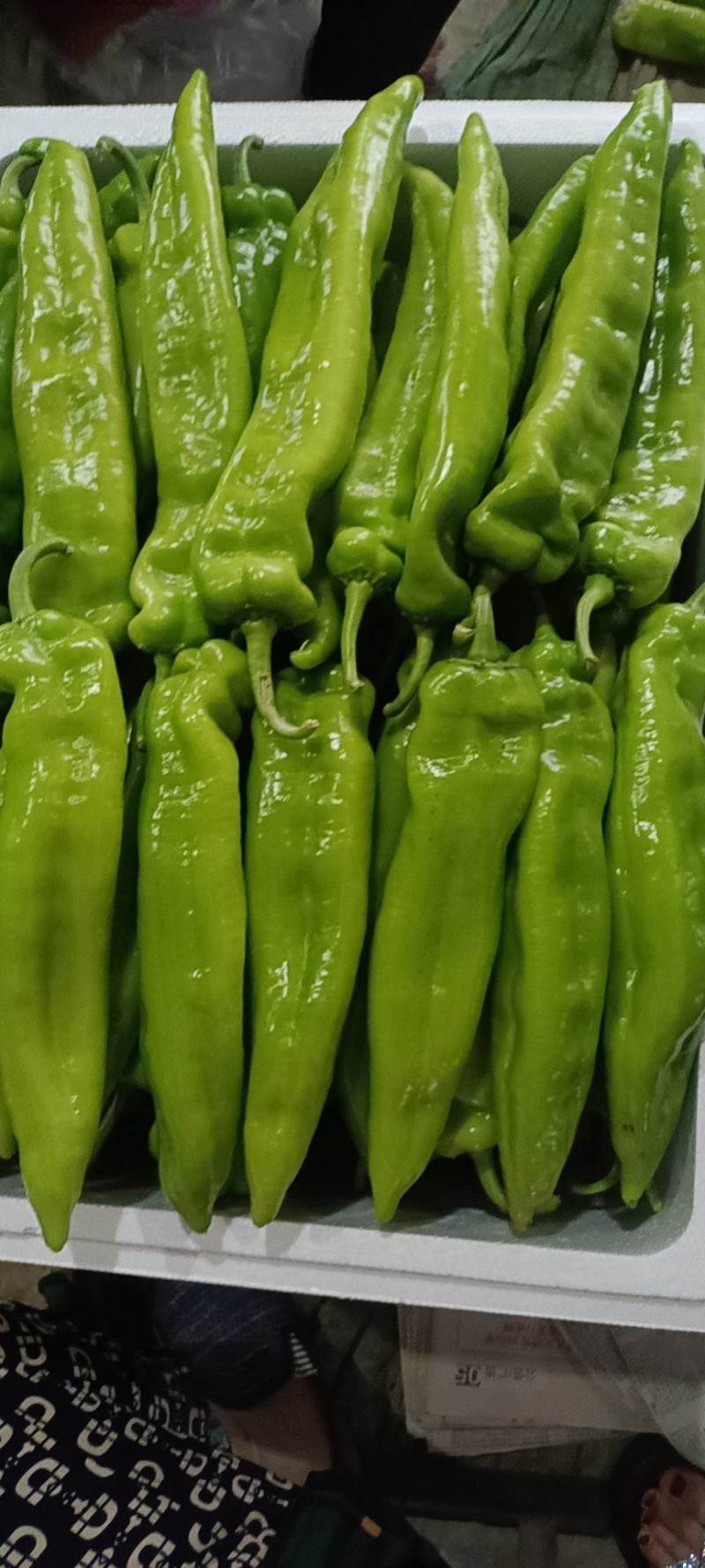 辽宁产地大量批发黄皮尖椒价钱合理品质新鲜现摘现装车