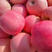 红富士苹果产地大降价了货源充足口感脆甜全国发货