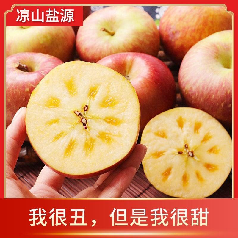凉山盐源红富士丑苹果当季脆甜多汁新鲜水果冰糖心苹果现摘现
