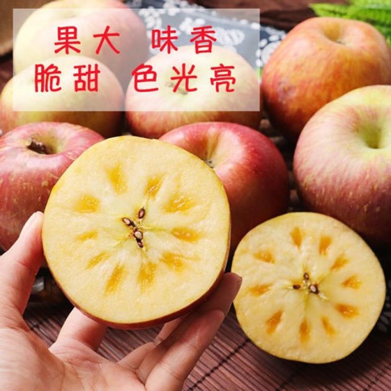 【凉山盐源苹果】当季水果新鲜脆甜多汁新鲜甜蜜爽口批发糖心