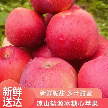 【凉山盐源苹果】当季水果新鲜脆甜多汁新鲜甜蜜爽口批发糖心