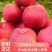 【凉山盐源苹果】当季水果新鲜脆甜多汁新鲜甜蜜爽口批发糖心