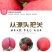 【凉山盐源苹果】当季水果新鲜脆甜多汁新鲜甜蜜爽口批发糖心