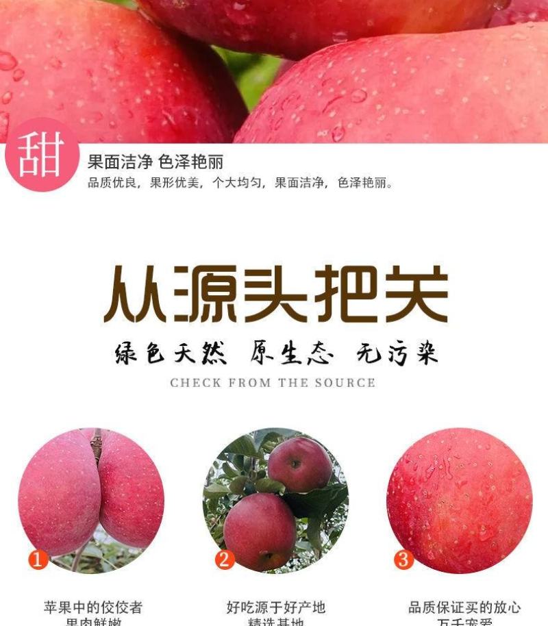 【凉山盐源苹果】当季水果新鲜脆甜多汁新鲜甜蜜爽口批发糖心