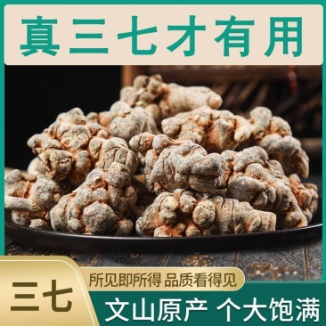 正宗云南文山三七王12头16头18头20头特级高档田七王