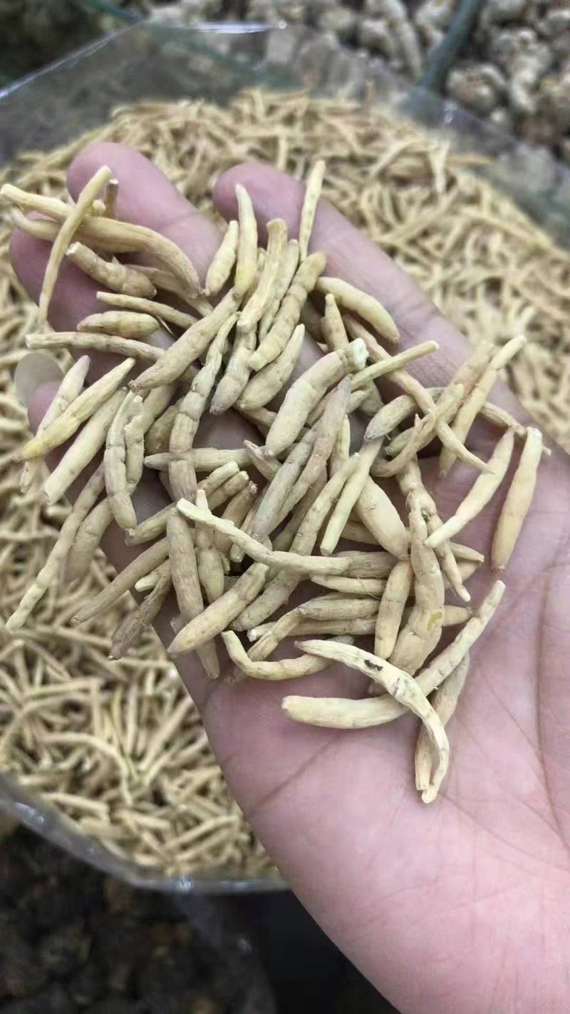 太子参干货大量批发需要的老板联系