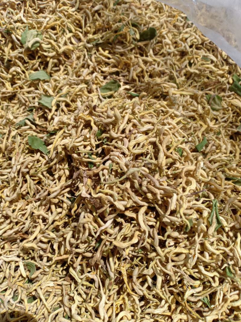 青货金银花，沂蒙山山区里的优质金银花，批发零售，产地直发