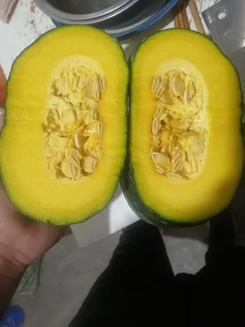 旱地板栗南瓜