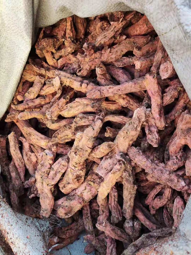 红景天，各种规格红景天片，个子，去皮红景天，带皮红景天。