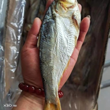 海鲫鱼齐鱼咸鱼干7.8成干度支持一件代发一手货源不包邮