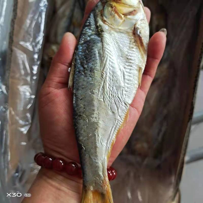 海鲫鱼齐鱼咸鱼干7.8成干度支持一件代发一手货源不包邮