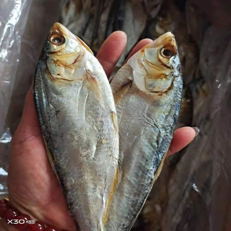 海鲫鱼齐鱼咸鱼干7.8成干度支持一件代发一手货源不包邮