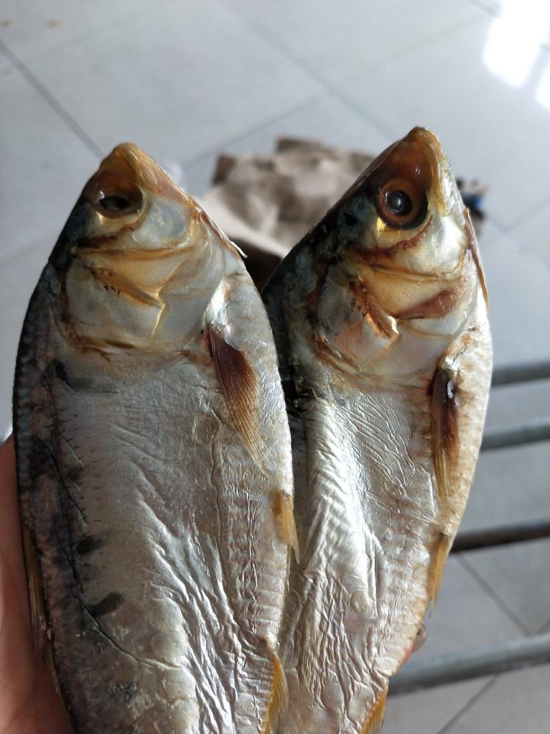海鲫鱼齐鱼咸鱼干7.8成干度支持一件代发一手货源不包邮
