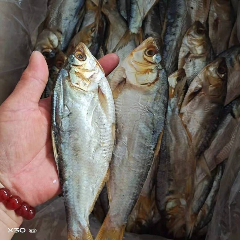 海鲫鱼齐鱼咸鱼干7.8成干度支持一件代发一手货源不包邮