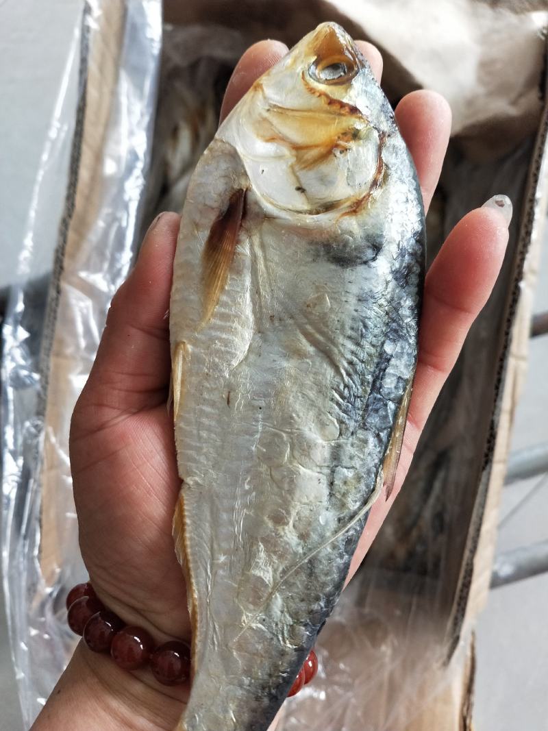 海鲫鱼齐鱼咸鱼干7.8成干度支持一件代发一手货源不包邮