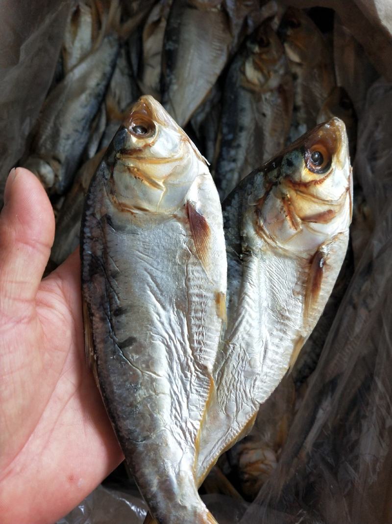 海鲫鱼齐鱼咸鱼干7.8成干度支持一件代发一手货源不包邮