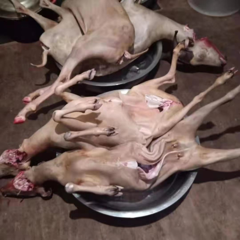 羊肉