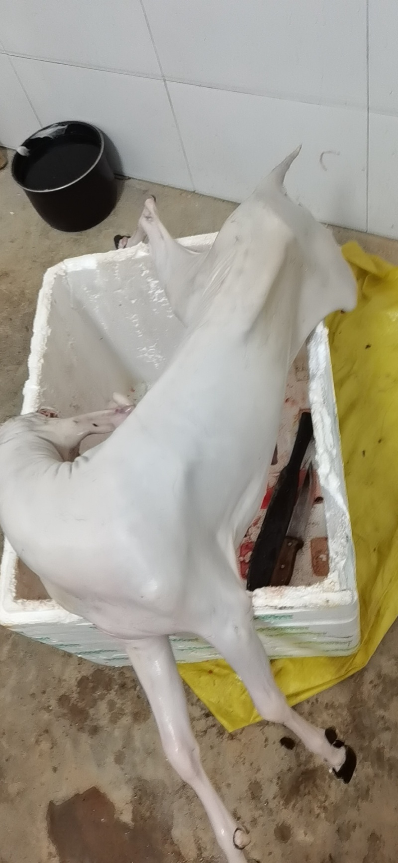 羊肉