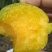 九峰黄金奈李脆甜多汁有蜜味