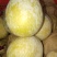 九峰黄金奈李脆甜多汁有蜜味