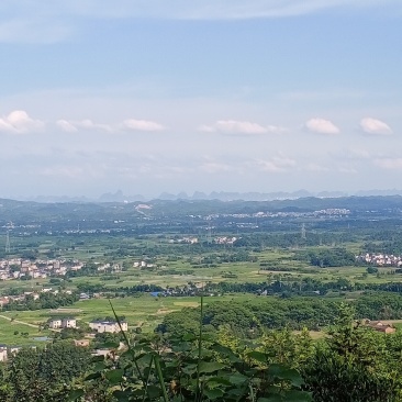 阴宅地乾山巽向，廉贞来龙结的大地，左边艮峰，右边坤峰起。