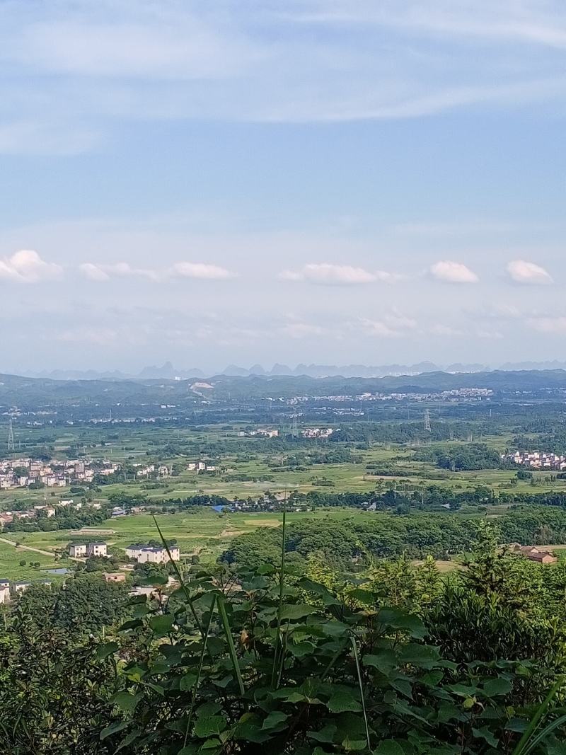 阴宅地乾山巽向，廉贞来龙结的大地，左边艮峰，右边坤峰起。