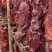 阿坝州麻辣大块肉跑江湖展会摆摊货源酱香大块肉非牛肉厂家