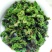 新茶安溪铁观音高山新枞铁观音茶叶浓香型铁观音茶叶1斤