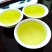 新茶安溪铁观音高山新枞铁观音茶叶浓香型铁观音茶叶1斤