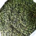 新茶安溪铁观音高山新枞铁观音茶叶浓香型铁观音茶叶1斤