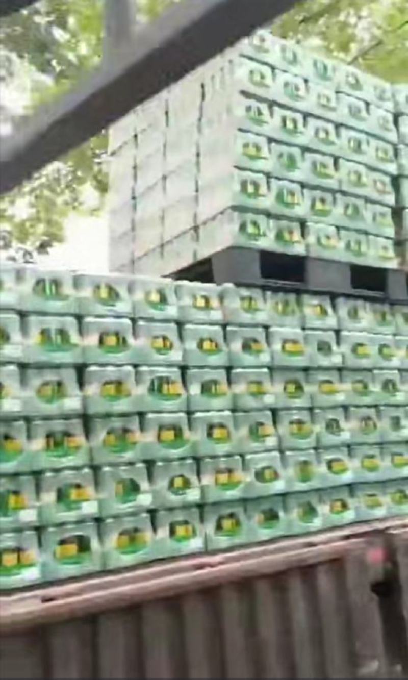 荷花啤洒规格齐全包装精美口感好发货中