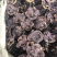 野生灵芝王竹灵芝
