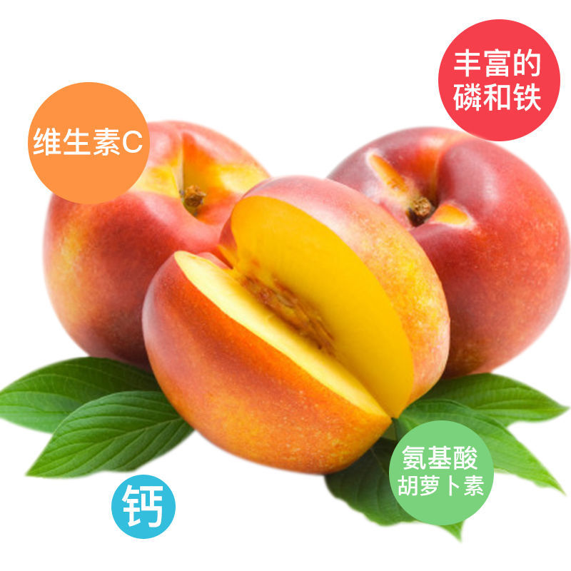 珍珠油桃，陕西珍珠油桃，珍珠油桃批发价格，珍珠油桃产地。