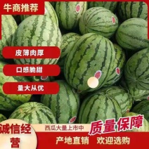 8424麒麟西瓜精品美都支持视频看货品质保证