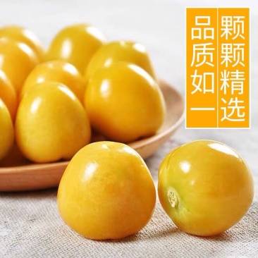 东北原产姑娘果诚招全国各地电商一件代发。欢迎联系