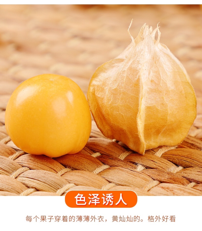 东北原产姑娘果诚招全国各地电商一件代发。欢迎联系
