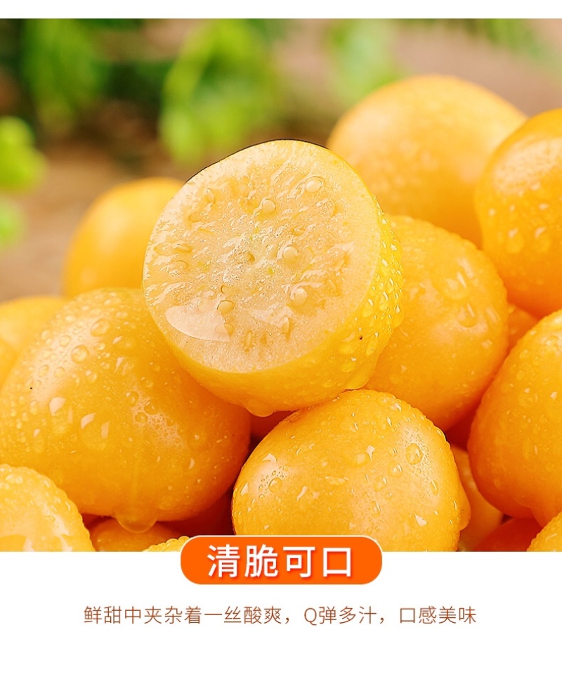 东北原产姑娘果诚招全国各地电商一件代发。欢迎联系