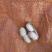 花生（新鲜白米花生现货供应）